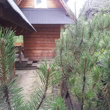 Maly Pod Lasem Alpesi faház Zakopane