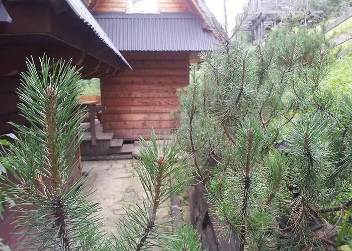 Maly Pod Lasem シャレー ザコパネ