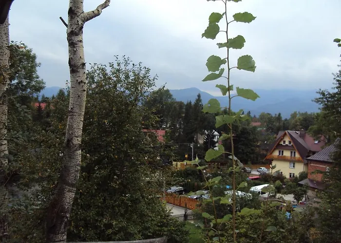 Maly Pod Lasem ザコパネ