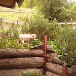 Maly Pod Lasem Zakopane