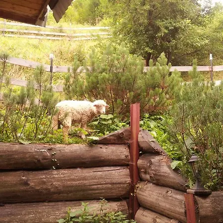 Maly Pod Lasem Zakopane